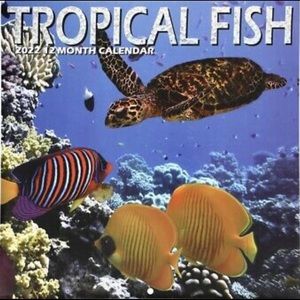 NEW 2022 Calendar Tropical Fish New/ FREE SHIPING